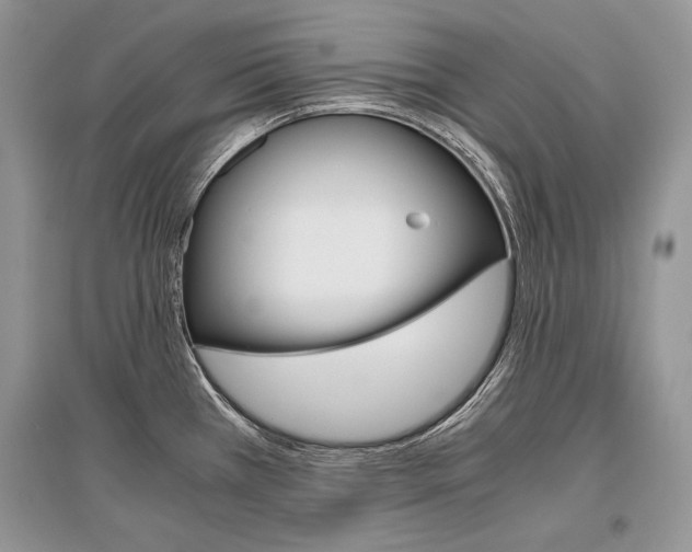 X0000096481385200801241137