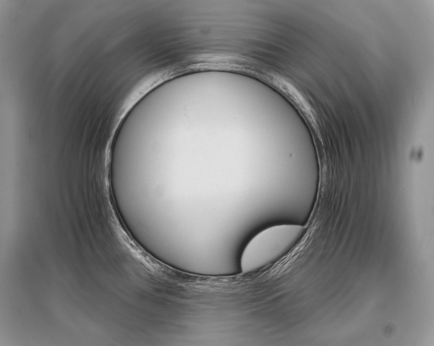 X0000096481386200801241137