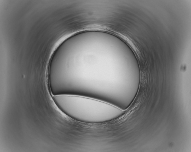 X0000096481387200801241137