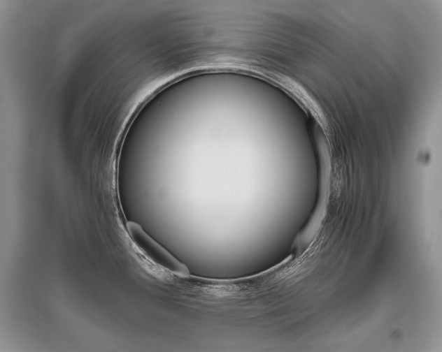 X0000096481388200801241137