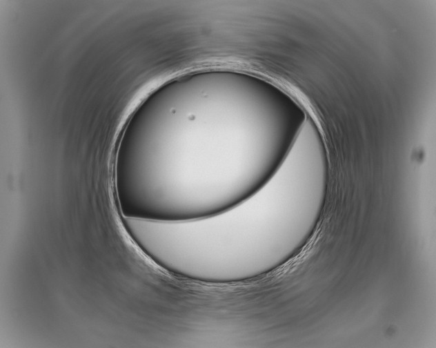 X0000096481389200801241137