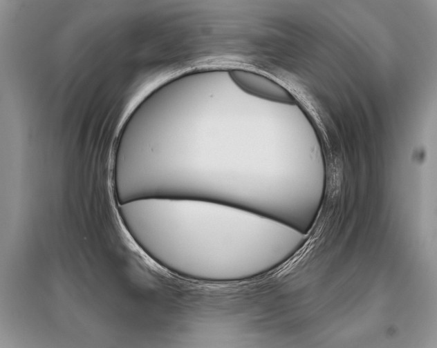X0000096481390200801241137