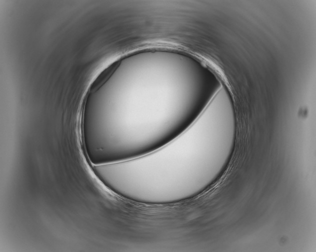 X0000096481391200801241137