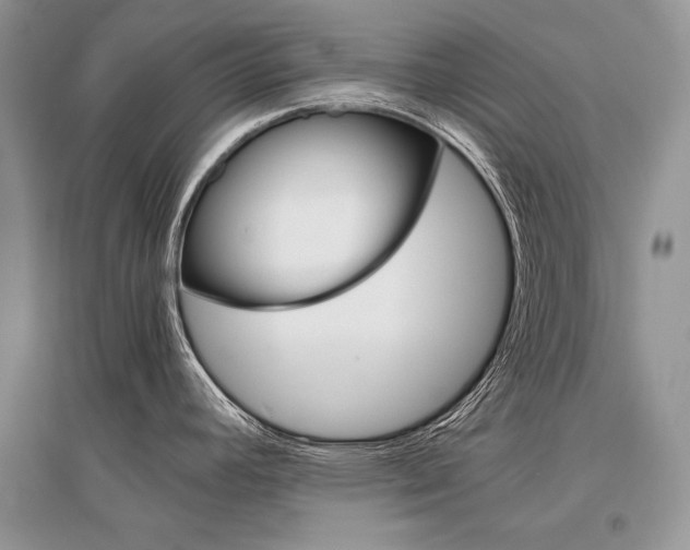 X0000096481392200801241137
