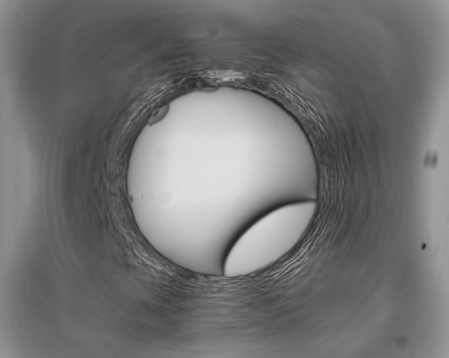 X0000096481393200801241136
