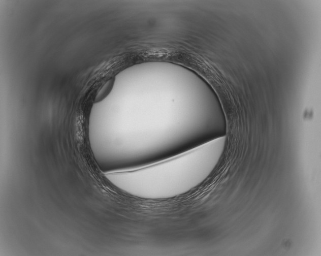 X0000096481394200801241136