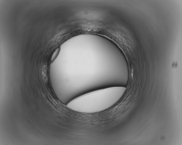 X0000096481396200801241136