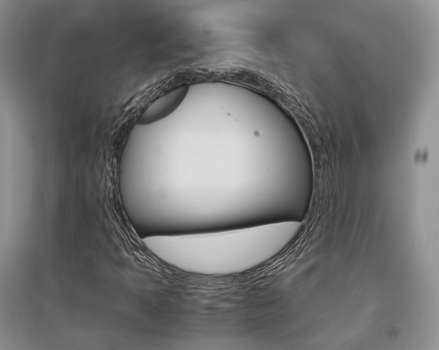X0000096481397200801241136