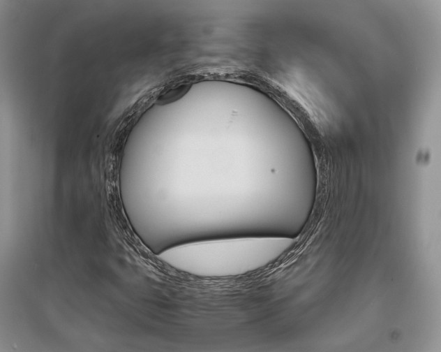 X0000096481399200801241136