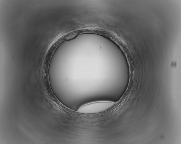 X0000096481400200801241136