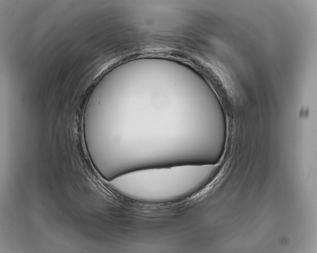 X0000096481401200801241136