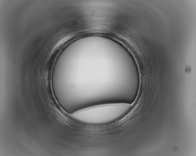 X0000096481402200801241136