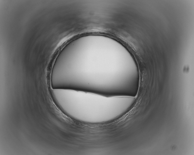 X0000096481404200801241136