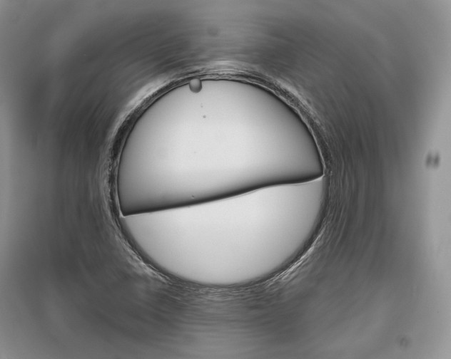 X0000096481410200801241136