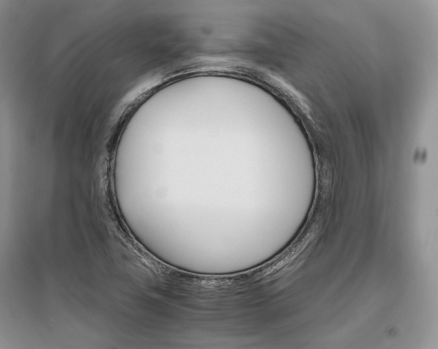 X0000096481411200801241136