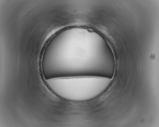 X0000096481412200801241136