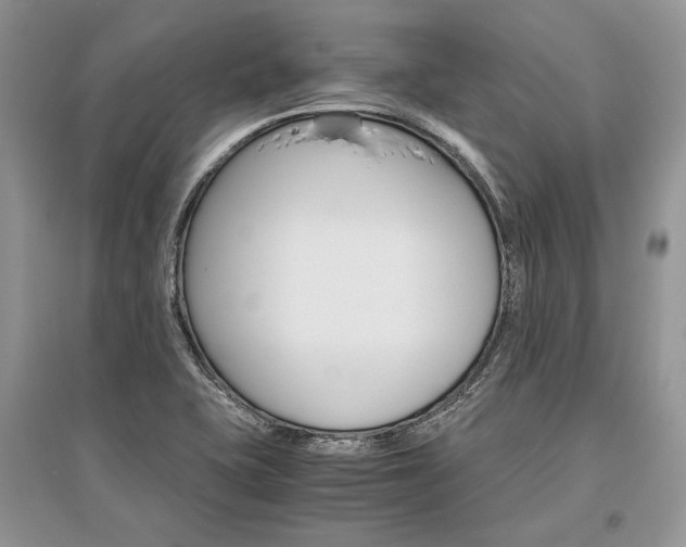 X0000096481415200801241136