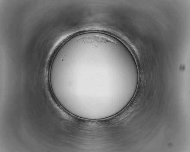 X0000096481416200801241136