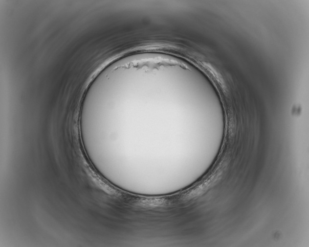 X0000096481417200801241136