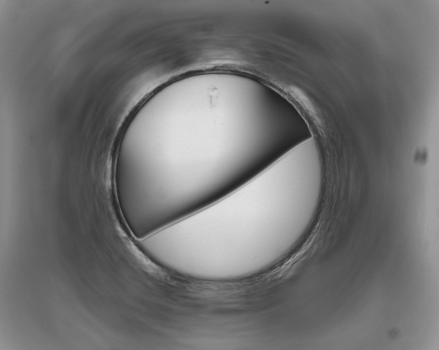 X0000096481420200801241136