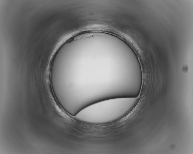 X0000096481421200801241136