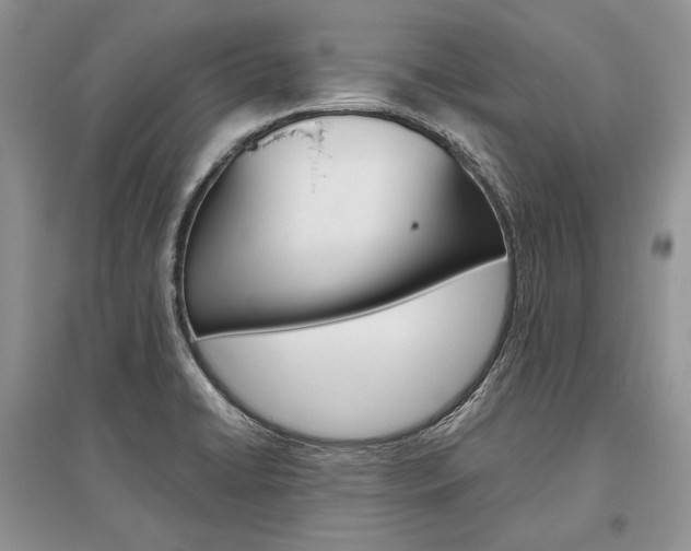X0000096481422200801241136