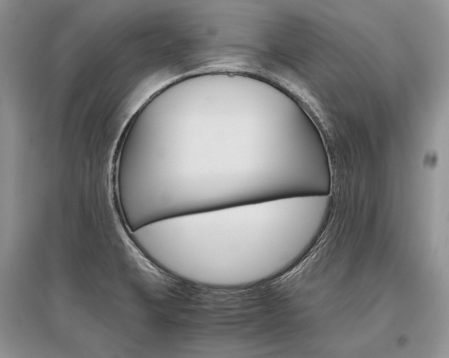 X0000096481423200801241136