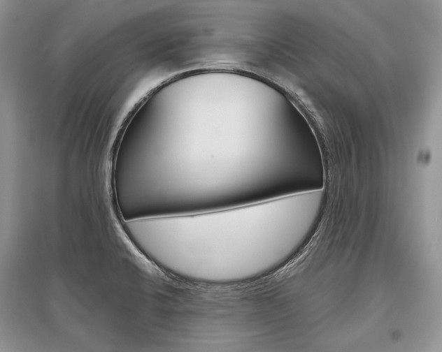 X0000096481424200801241136