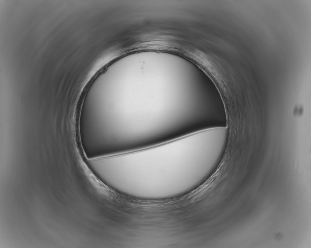 X0000096481426200801241136