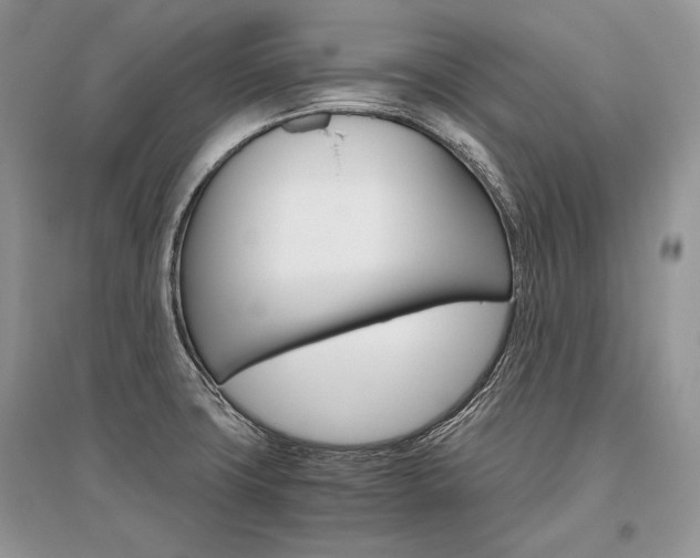 X0000096481427200801241136