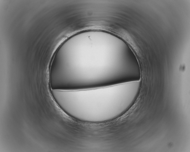 X0000096481428200801241136
