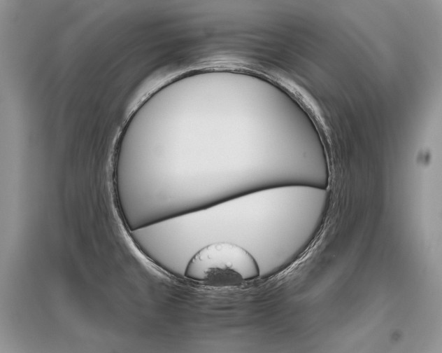 X0000096481429200801241136