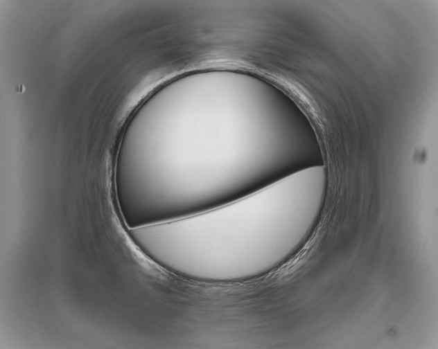 X0000096481430200801241136