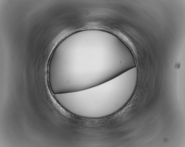 X0000096481431200801241136