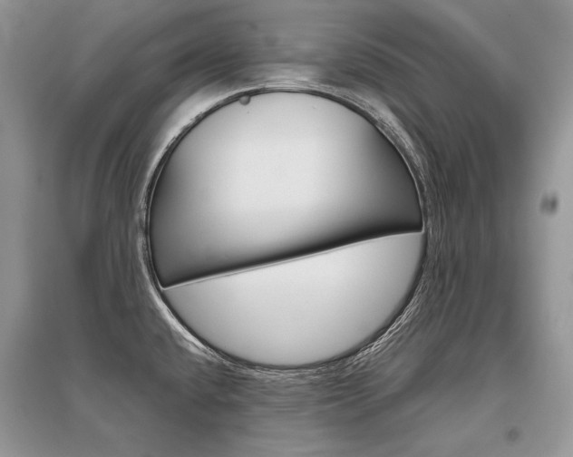 X0000096481432200801241136
