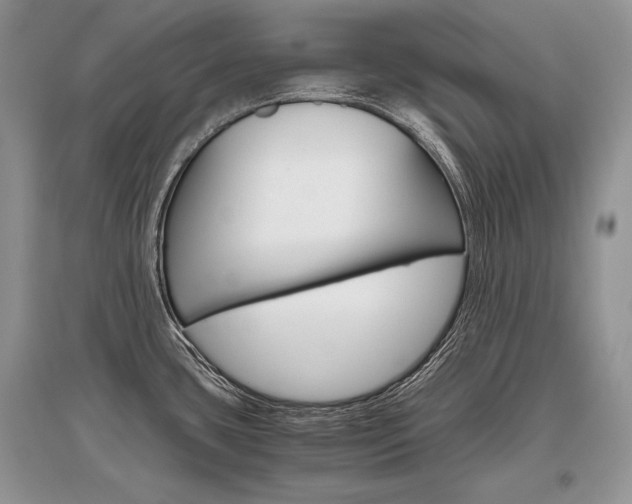 X0000096481435200801241136