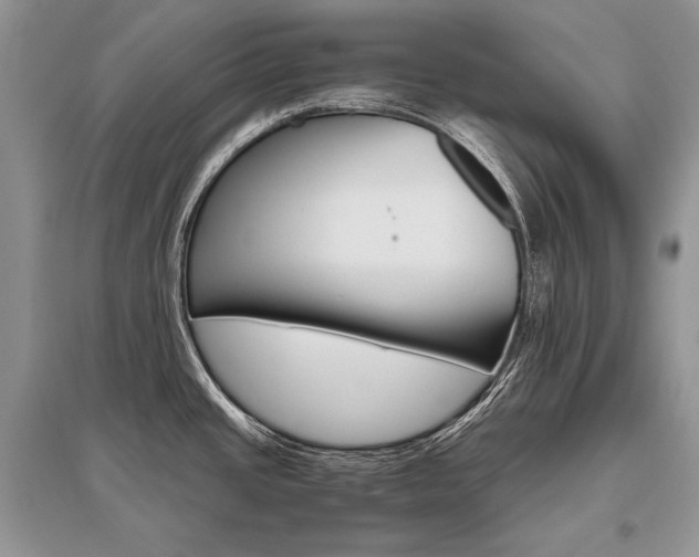 X0000096481437200801241136