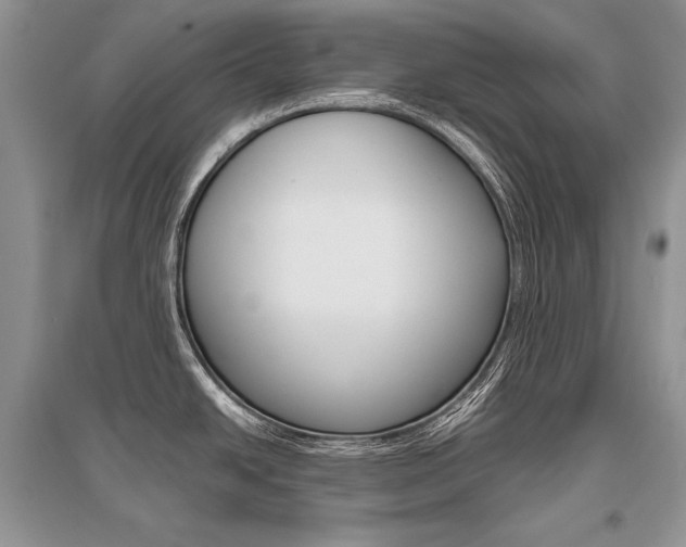 X0000096481438200801241136