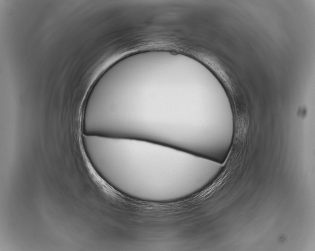X0000096481439200801241136