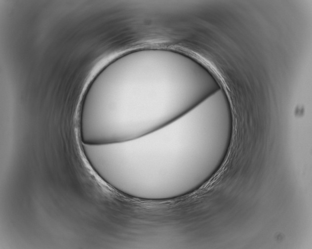 X0000096481440200801241136