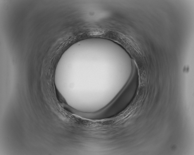 X0000096481441200801241136