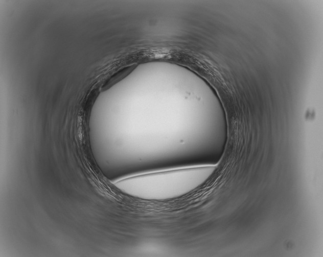 X0000096481442200801241136