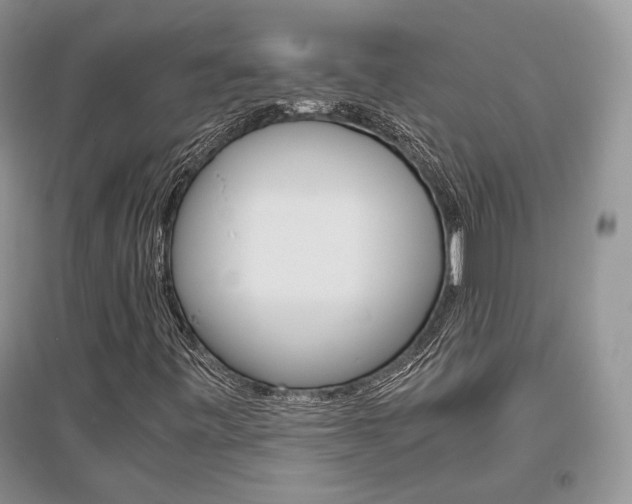 X0000096481443200801241136