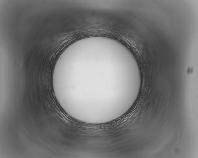 X0000096481444200801241136