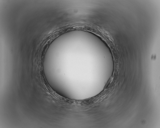 X0000096481445200801241136