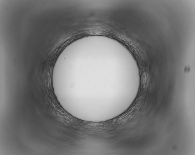 X0000096481446200801241136