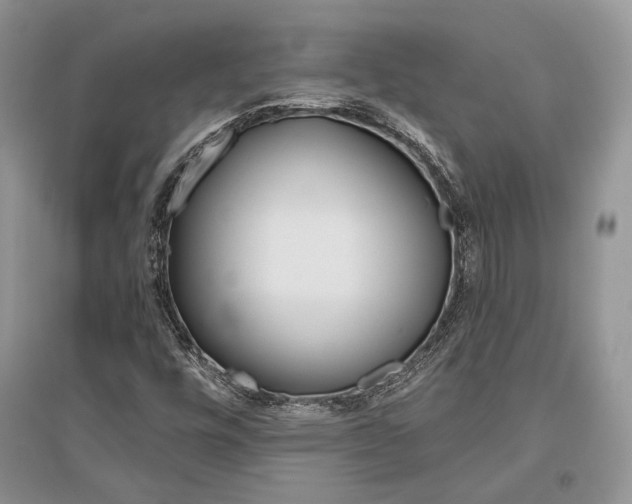 X0000096481448200801241136