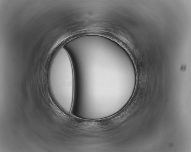X0000096481450200801241136
