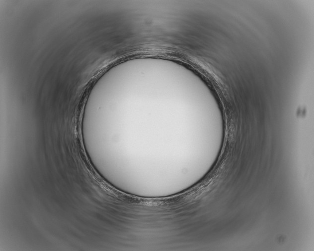 X0000096481451200801241136