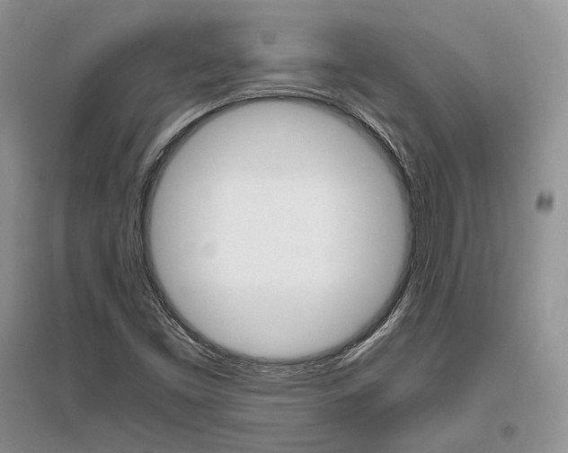 X0000096481453200801241136